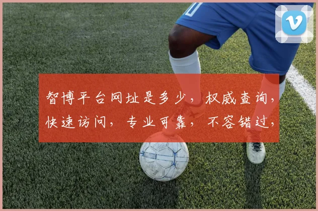 智博平台网址是多少，权威查询，快速访问，专业可靠，不容错过，立即获取