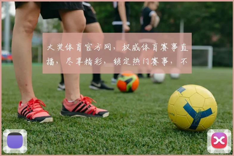 大奖体育官方网，权威体育赛事直播，尽享精彩，锁定热门赛事，不容错过